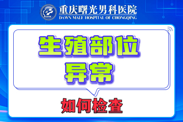 伴侣间的开放对话:共同面对早泄挑战