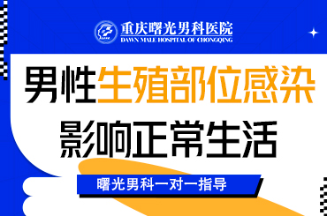 ��ͬ���ʶ�����������������Ч����Ӱ��